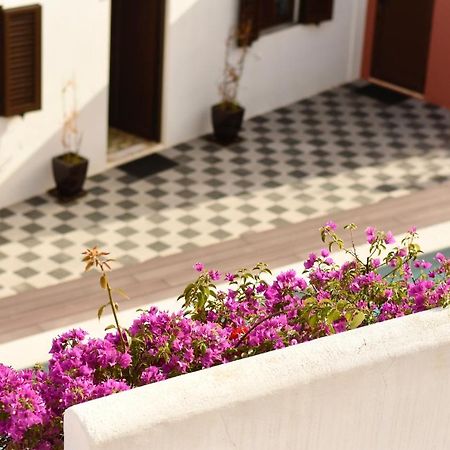 Fisherman'S Albufeira Cosy Studio Εξωτερικό φωτογραφία